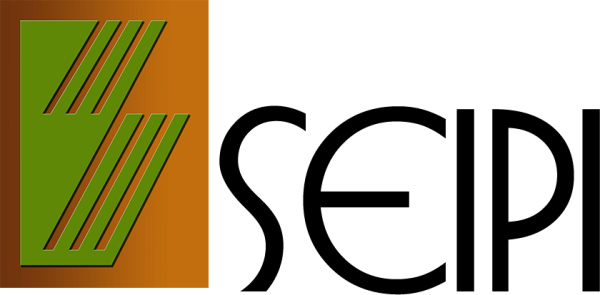 seipi new logo iclwdv 1740039435